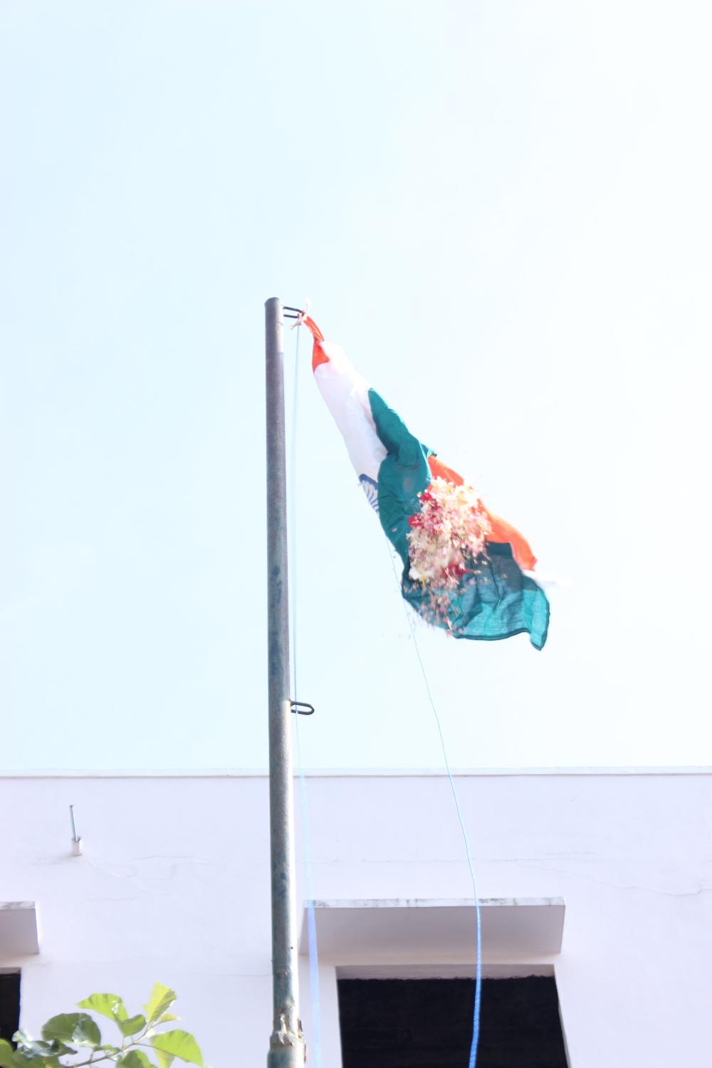 Independence Day 2024